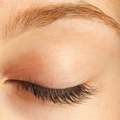 Eyebrow Shaping Carrum Downs
